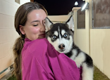 Parkview Pet Center - Veterinary Clinic thumb 2